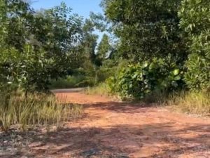 巴西古当50英亩地出售 Pasir Gudang 50acres Land for Sale RM60 per sq feet